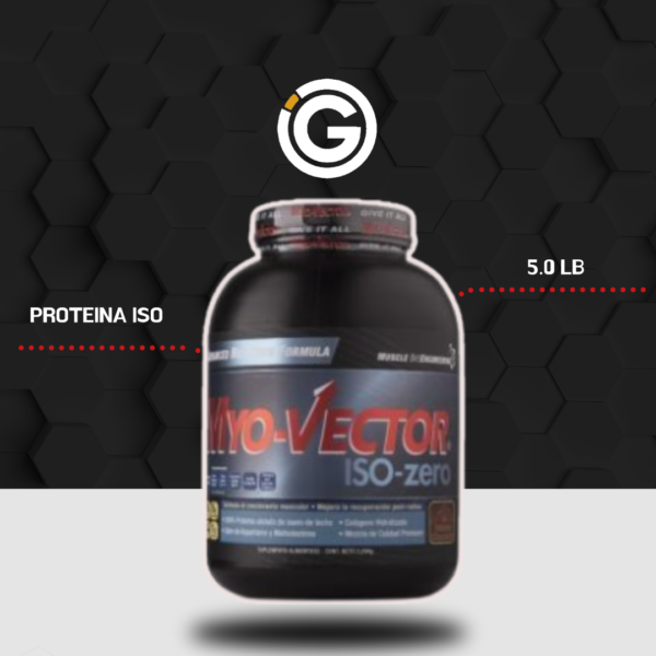 PROTEINA MYO VECTOR ISO